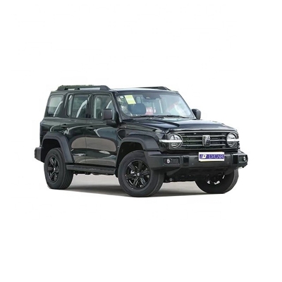 Месяц 8 Специальный резервуар Great Wall Motors 300 Автомобиль с прочным металлическим крышным стойкой