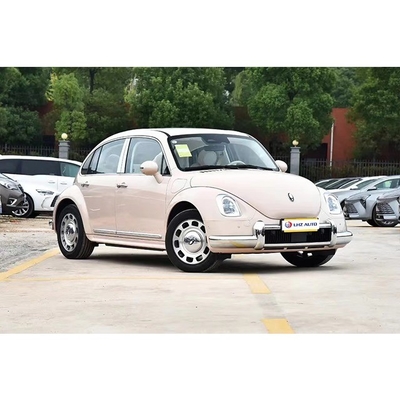 10 Month Purple ORA Ballet Cat Electric EV Car Sedan 2024 Энергетические транспортные средства для взрослых