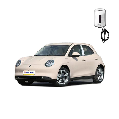 Тёмный интерьер 2024 5 дверей 5 мест Электрический EV Car Great Wall Motors ORA Cat Электрический внедорожник