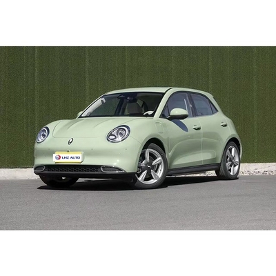 2022 Ora Cat Electric EV Car Электрическая система рулевого управления и задняя подвеска торсионного луча